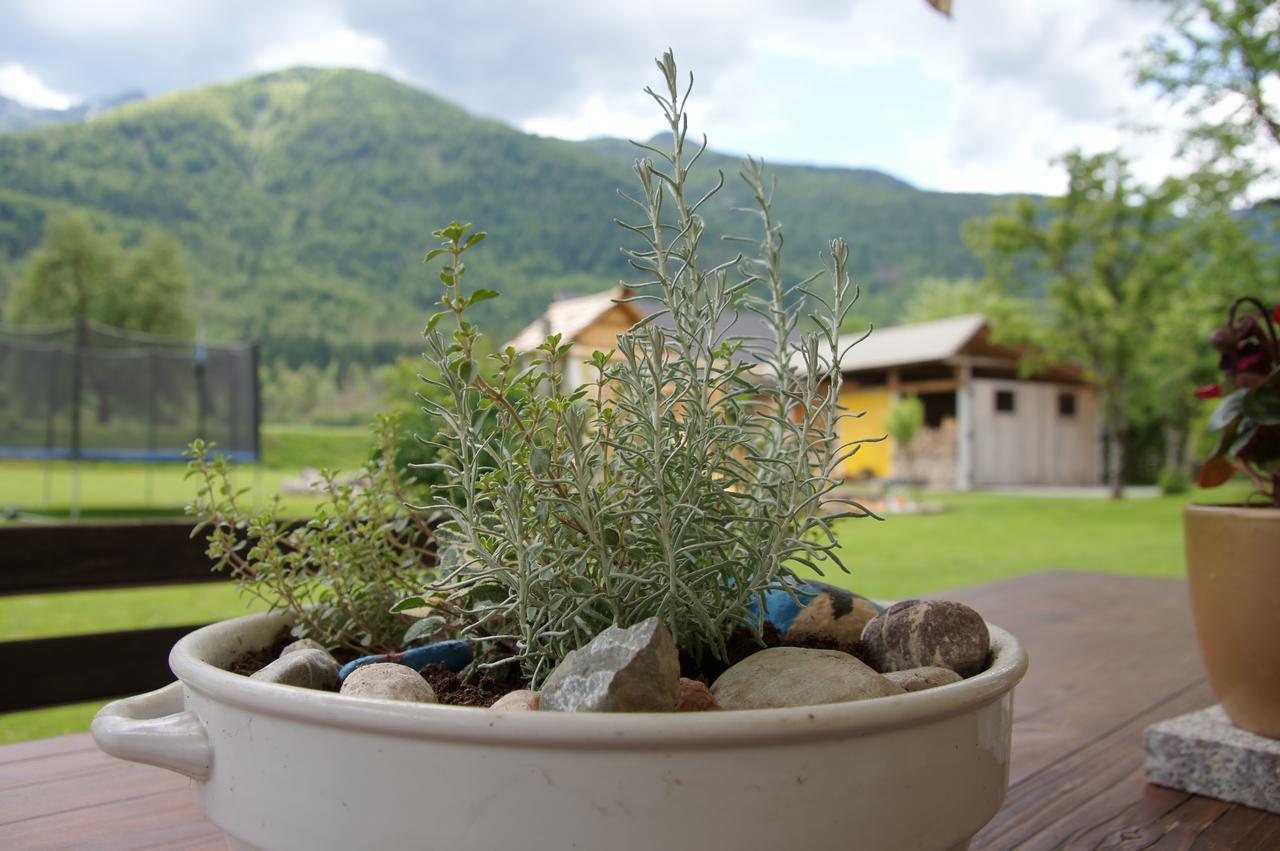 Apartments Markez Bohinj Bagian luar foto